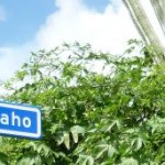 1030arapaho