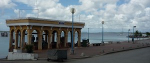 1030fishmarket2