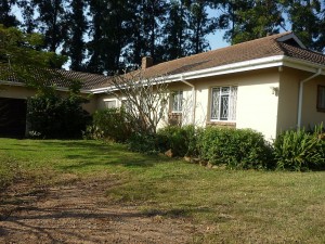 AFTER Virginia trimmed the bushes, there were no more false motion sensor 'squawks'.
